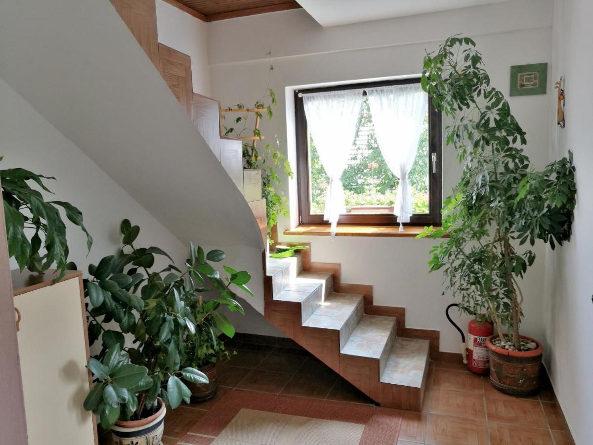 House Marica Villa Poljanak Ngoại thất bức ảnh